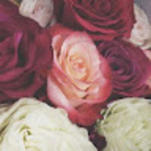 Meet your Posher, Nikki